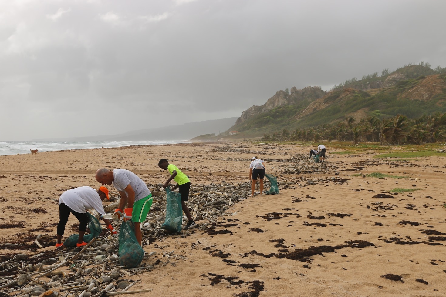Enhancing Well-being Through Shared Neighborhood Projects